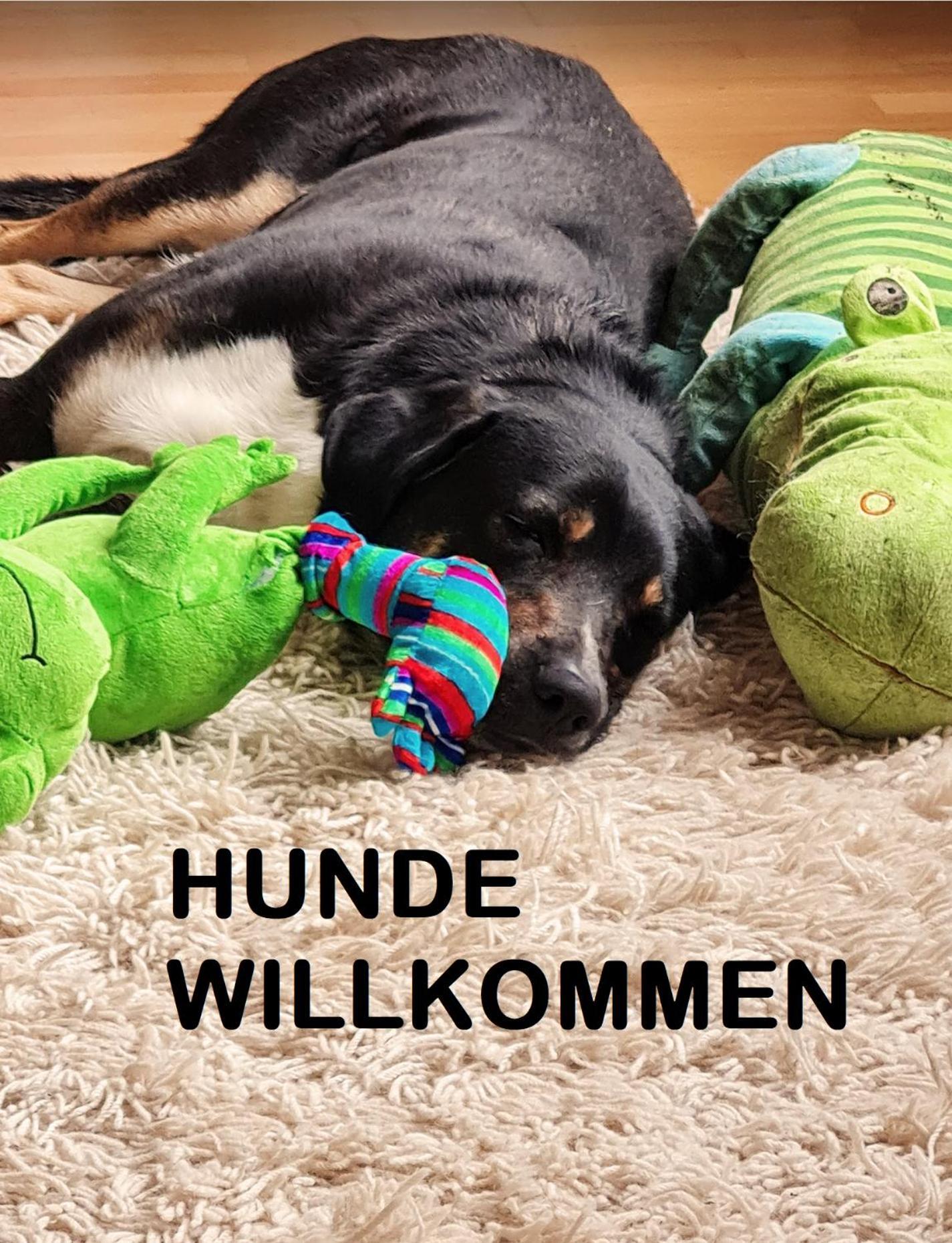 Muehle In Der Pferdewelt Reichenau公寓 外观 照片
